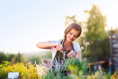 Landscaping crew preparing a garden project