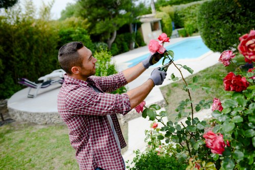 Worker safety and ethical labour in landscaping operations