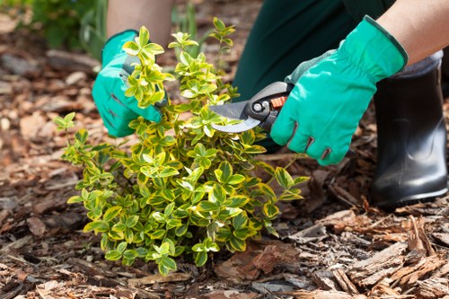 Landscaping team providing a clear quote for a Barbican courtyard garden