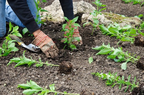 Protected Landscaping Barbican payment page highlighting safety measures