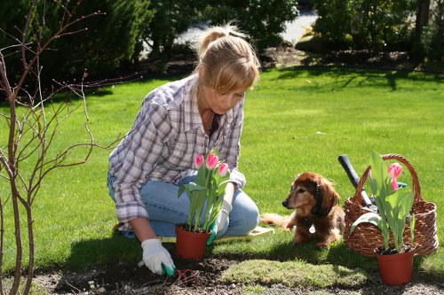 Analytics cookie tools monitoring website performance for Barbican landscaping