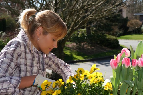Accessibility improvements for landscaping services in Barbican